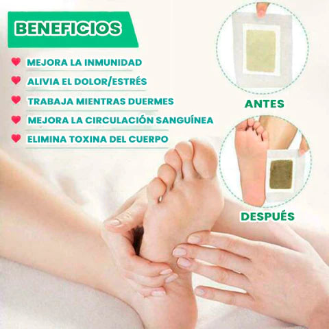 10 Parches Detox Kinoki Para Pies